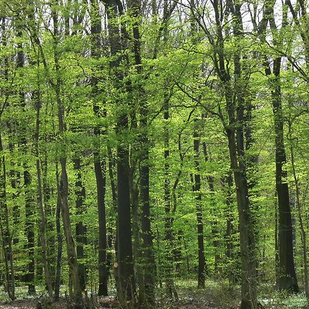 Ferienwohnungen Fischer Strullendorf エクステリア 写真